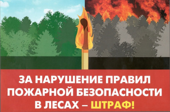 Забайкальская межрайонная природоохранная прокуратура разъясняет об ответственности за нарушения требований пожарной безопасности в лесах