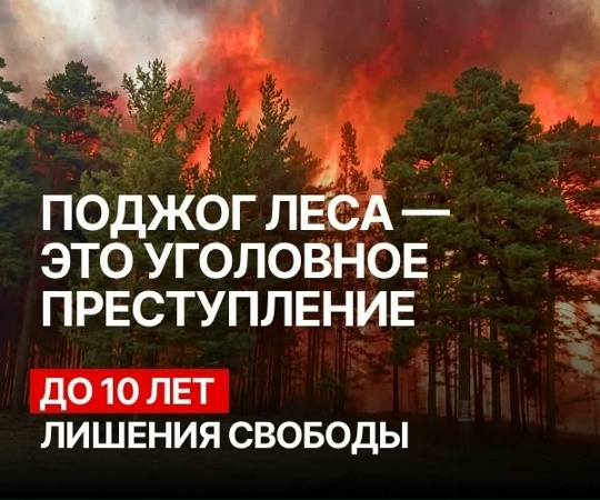 ВНИМАНИЕ! В Красночикойском округе введён особый противопожарный режим!