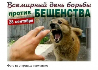 28 сентября – Всемирный день борьбы с бешенством