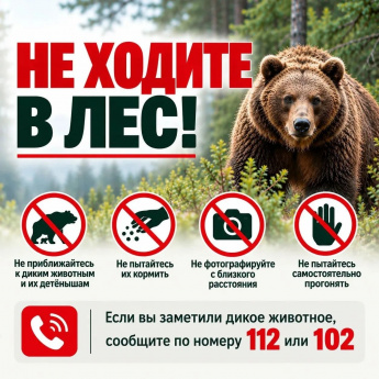  В связи с выходами диких животных просим временно воздержаться от посещения лесов!