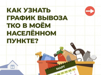 Как узнать график вывоза ТКО в моем населенном пункте