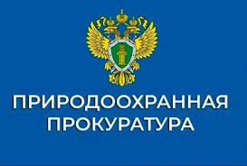 Забайкальская межрайонная природоохранная прокуратура разъясняет о вреде окружающей среде из-за несанкционированного размещения ТКО и ответственность за нее