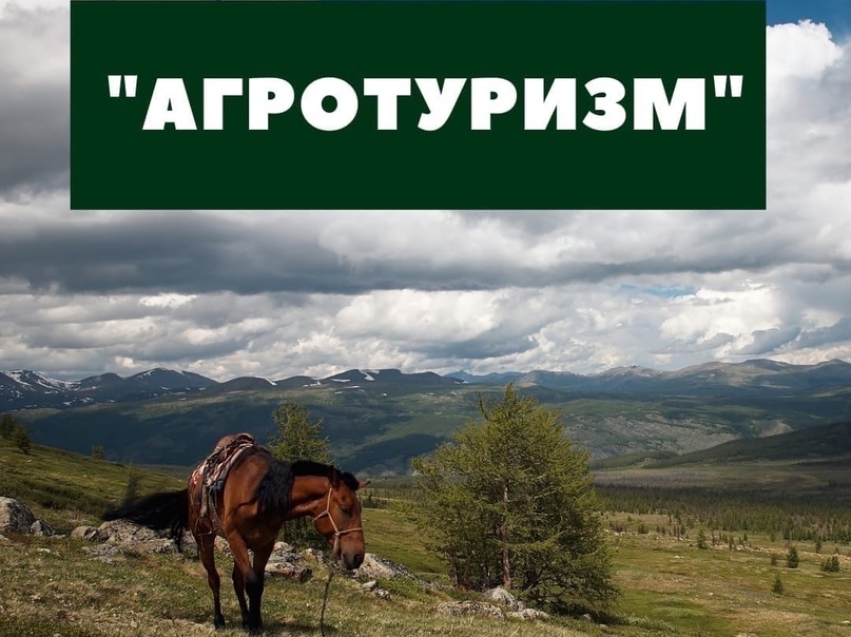 Минсельхоз объявил конкурсный отбор проектов развития сельского туризма