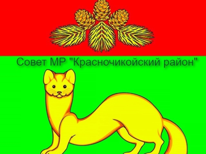 28 августа 2024 года состоится внеочередное заседание Совета муниципального района «Красночикойский район»