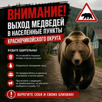 Внимание! Выход медведей в населенные пункты Красночикойского округа!